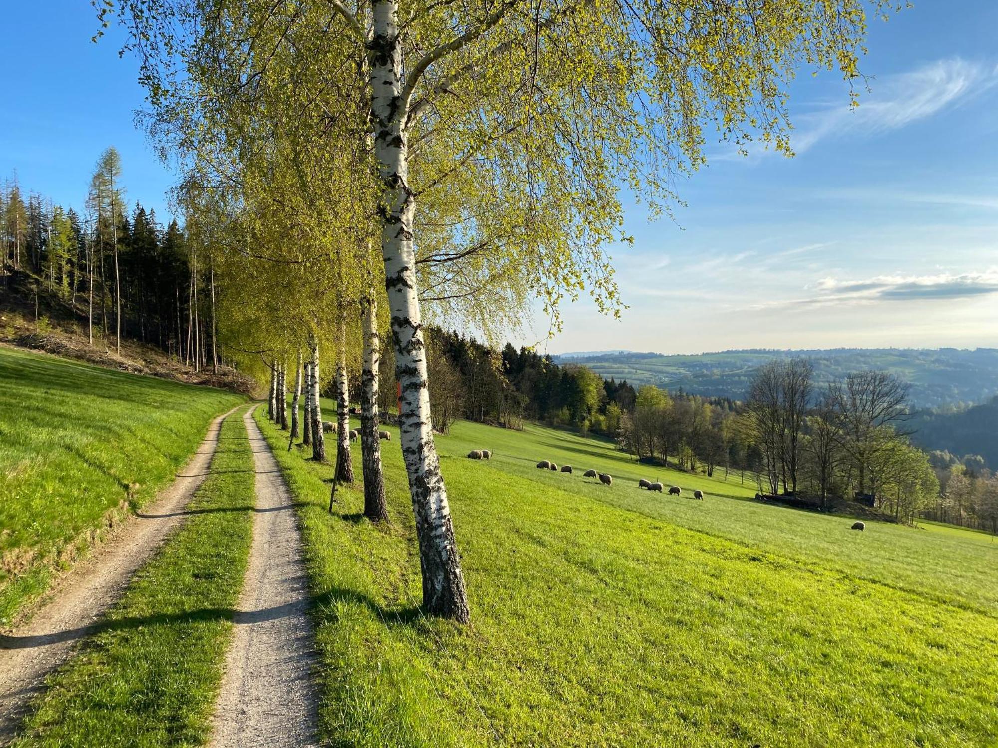 Krkonossky Apartman Bratrouchov Jablonec nad Jizerou Exteriér fotografie